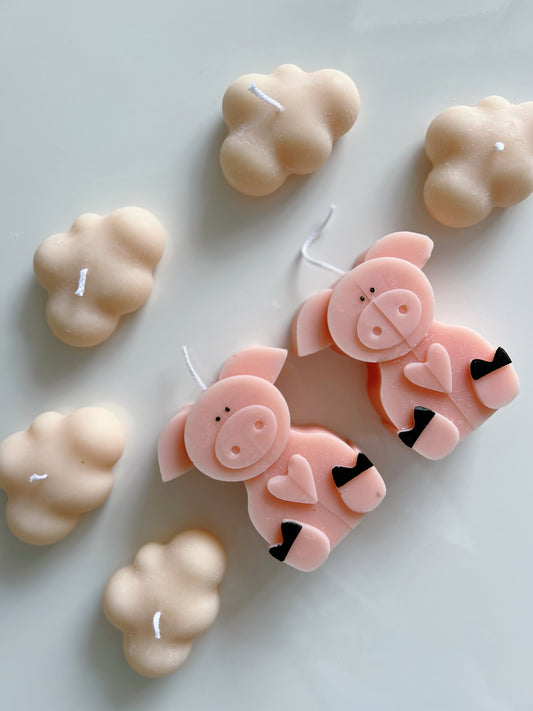 Sweet little pig