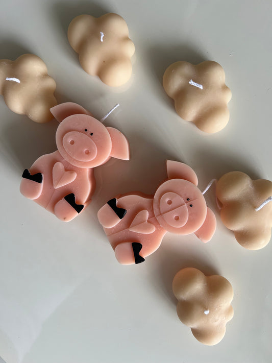 Sweet little pig